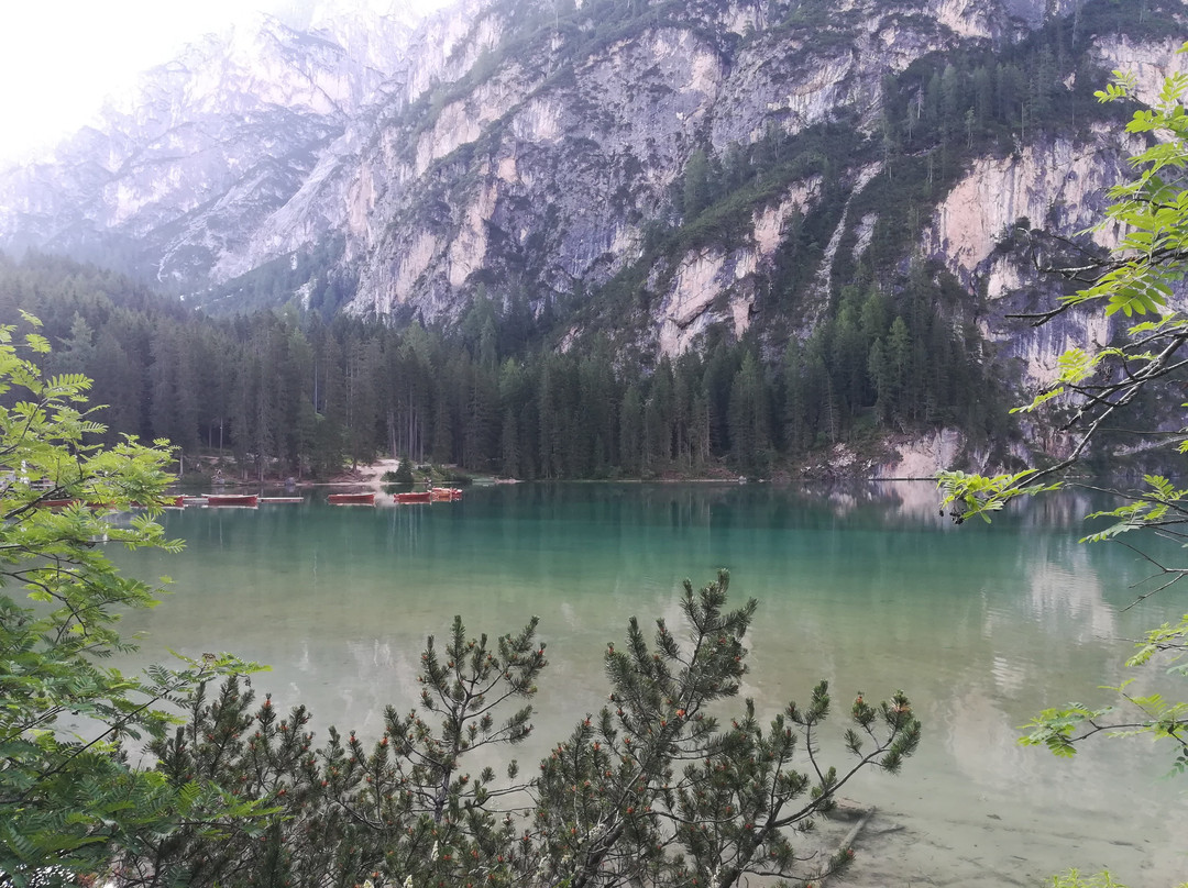Escursione Estiva - Lago di Braies - Sasso del Signore景点图片