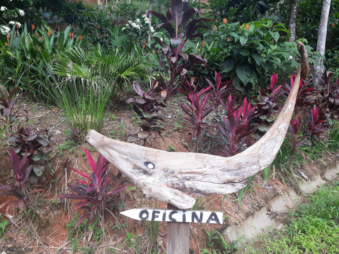 Bajo Bonitas酒店住宿-Forest Lodge