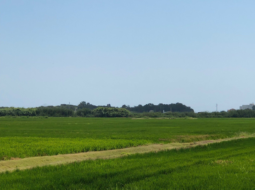 Albufera Parc-巴伦西亚必去景点