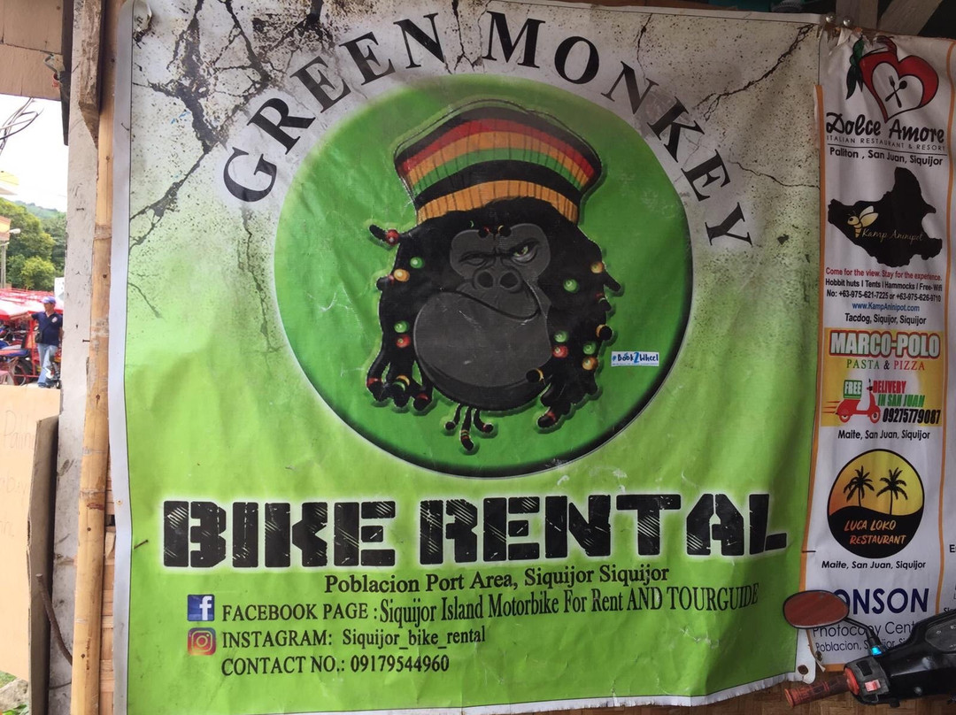 Green Monkey Bike Rental-锡基霍尔必去景点