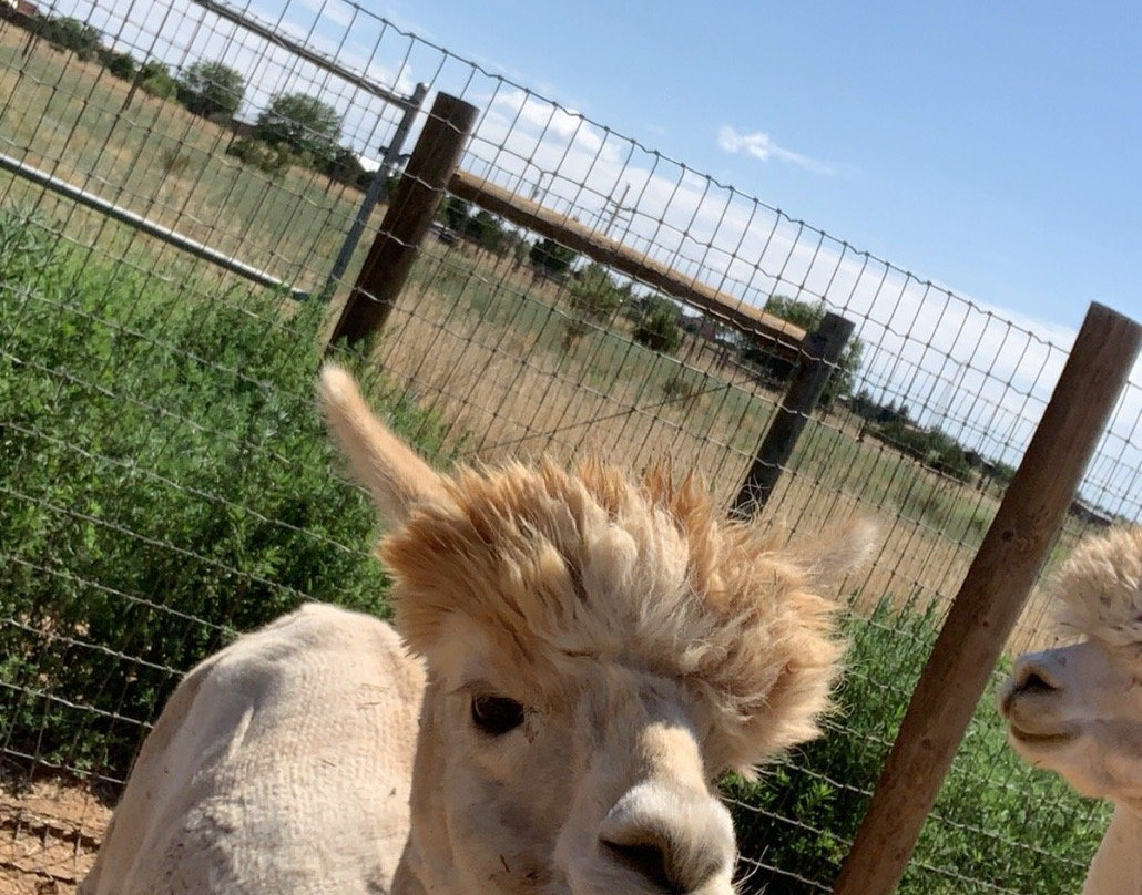 Hollywick Farms-Sandia Park必去景点