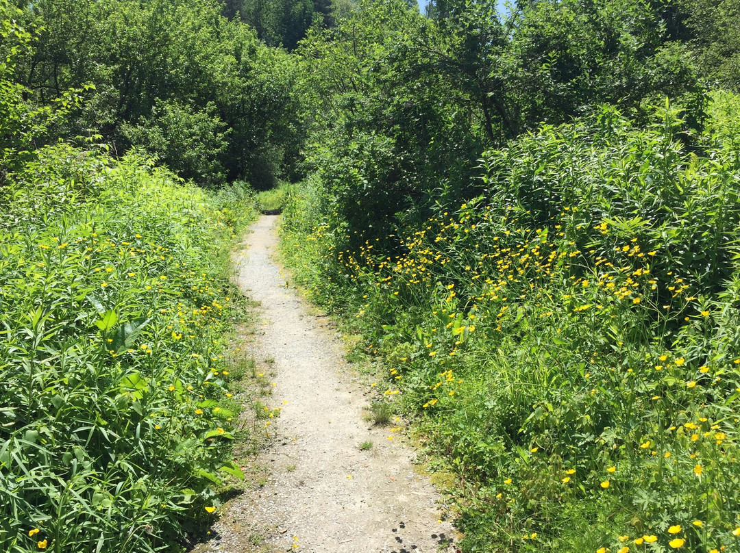 Waterbury Center State Park景点图片