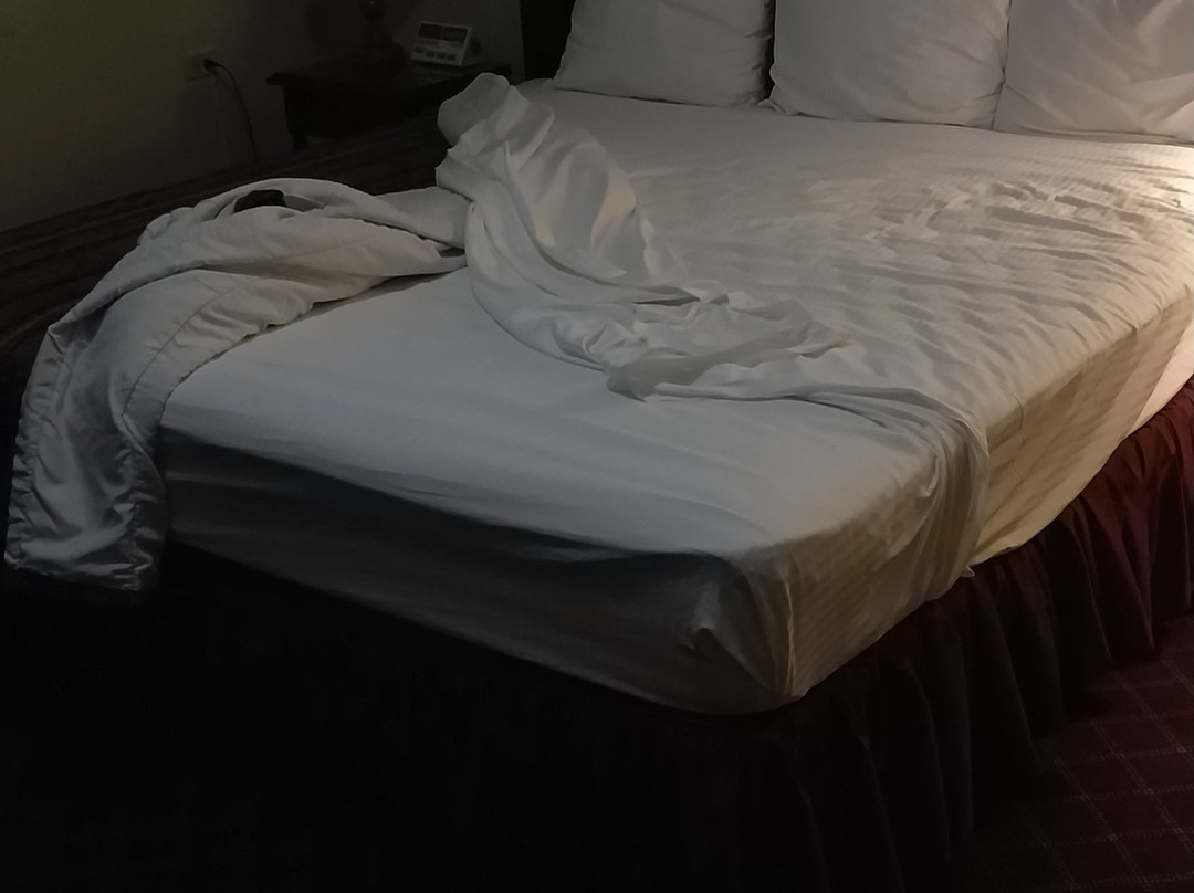 Hotel Four Seasons主图