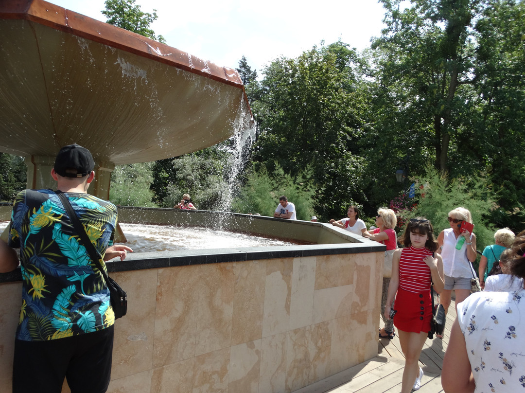 Grzybek Fountain-Ciechocinek必去景点