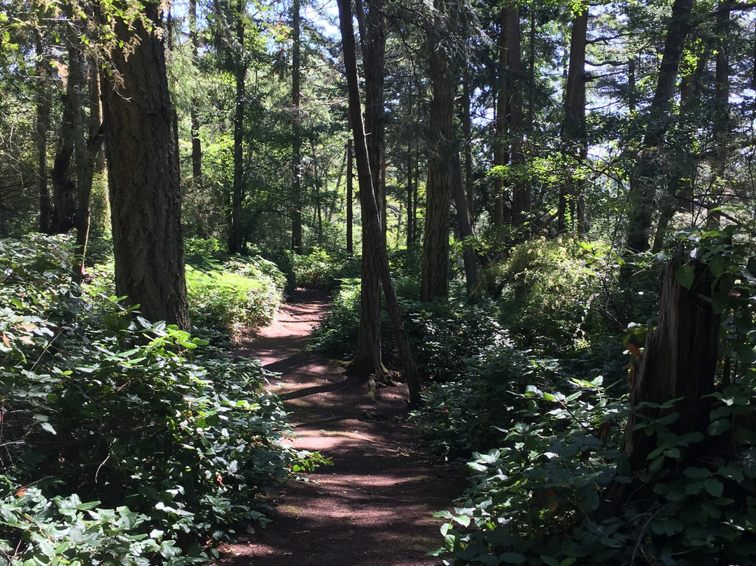 Inn to the Woods主图