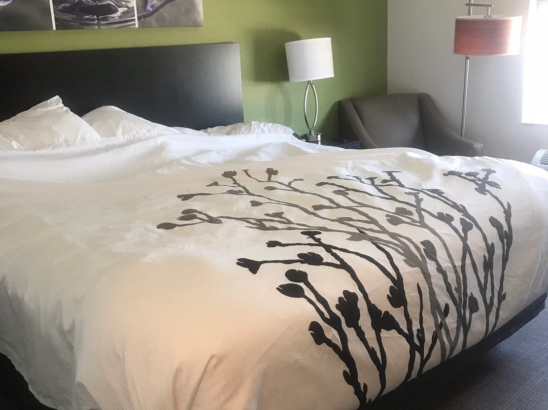 Sleep Inn & Suites Mt. Hope Near Auction & Event Center主图