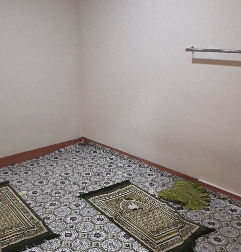 Parma Star Hotel主图