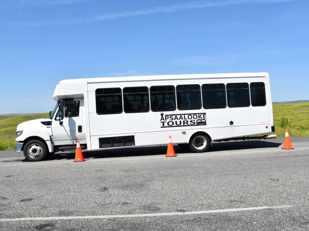 Apsaalooke Tours-Crow Agency必去景点