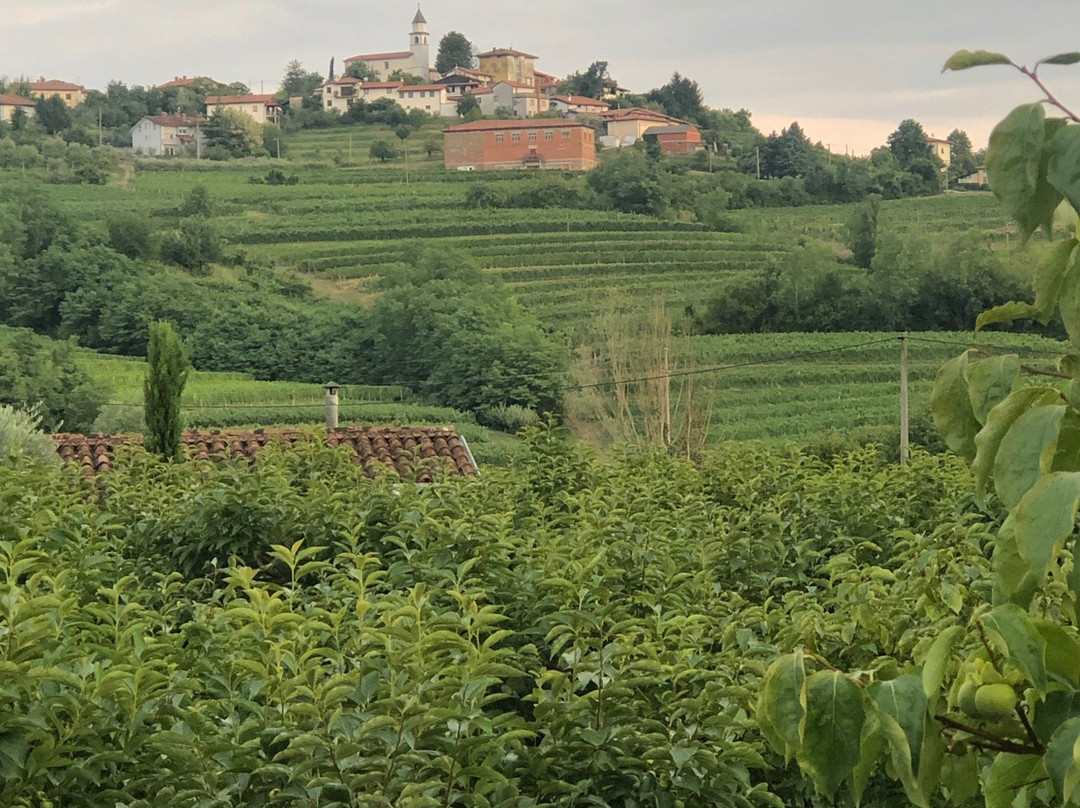 Farm stay Šibav B&B主图