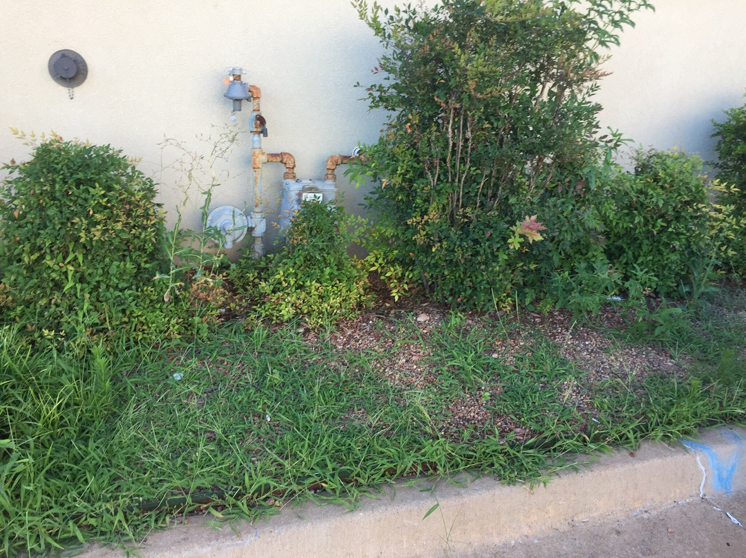 斯利普套房酒店主图