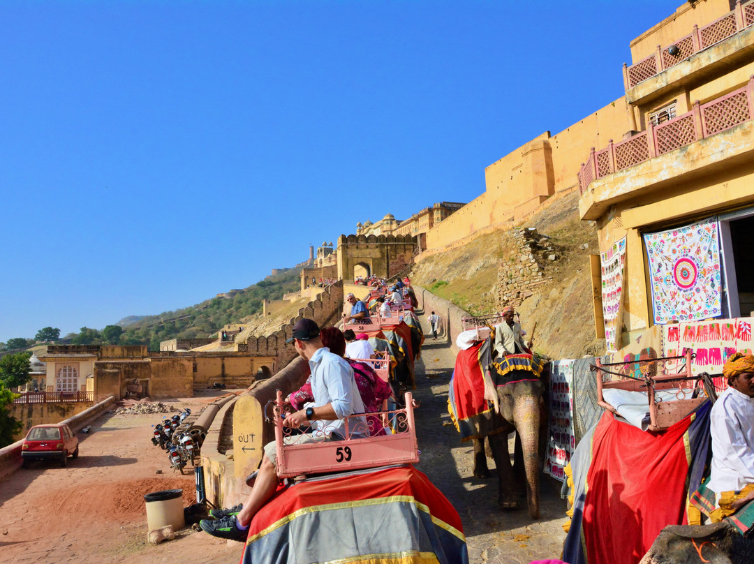 Zui Travels-阿格拉必去景点