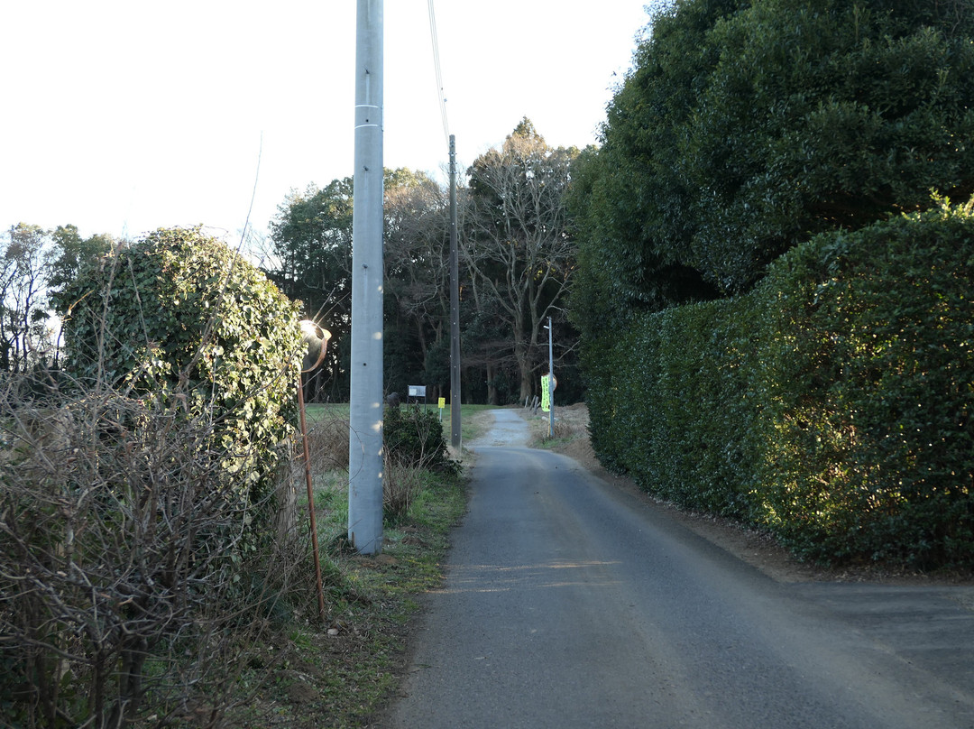 Ushiku Castle Ruins-牛久市必去景点