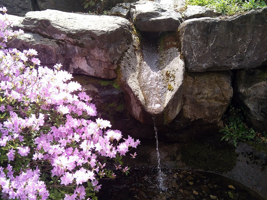 Jardin Botanique Lausanne-洛桑必去景点