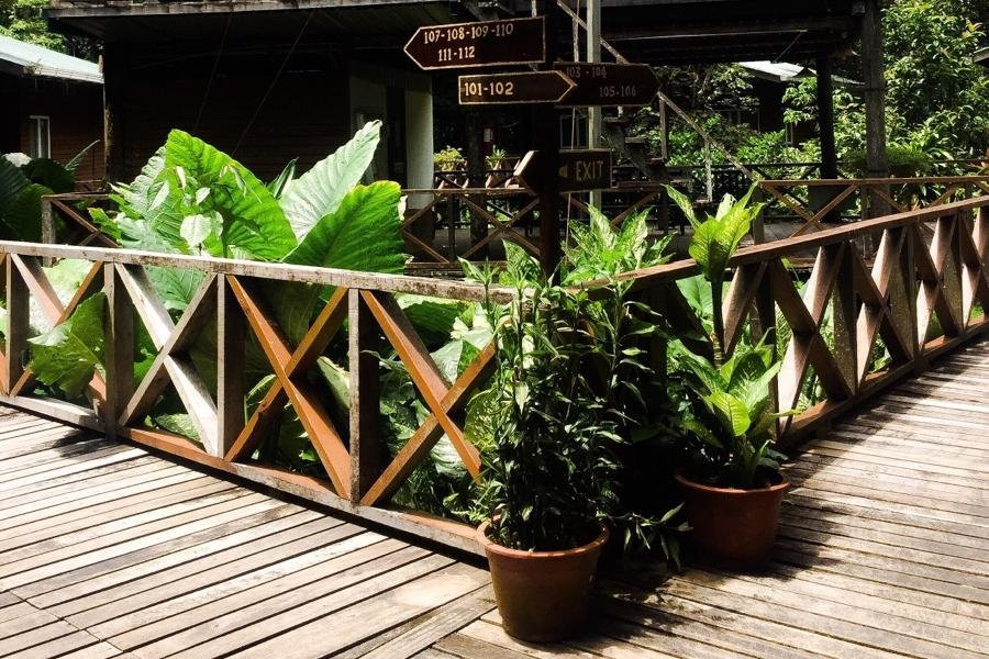 BORNEO NATURE LODGE-苏高必去景点