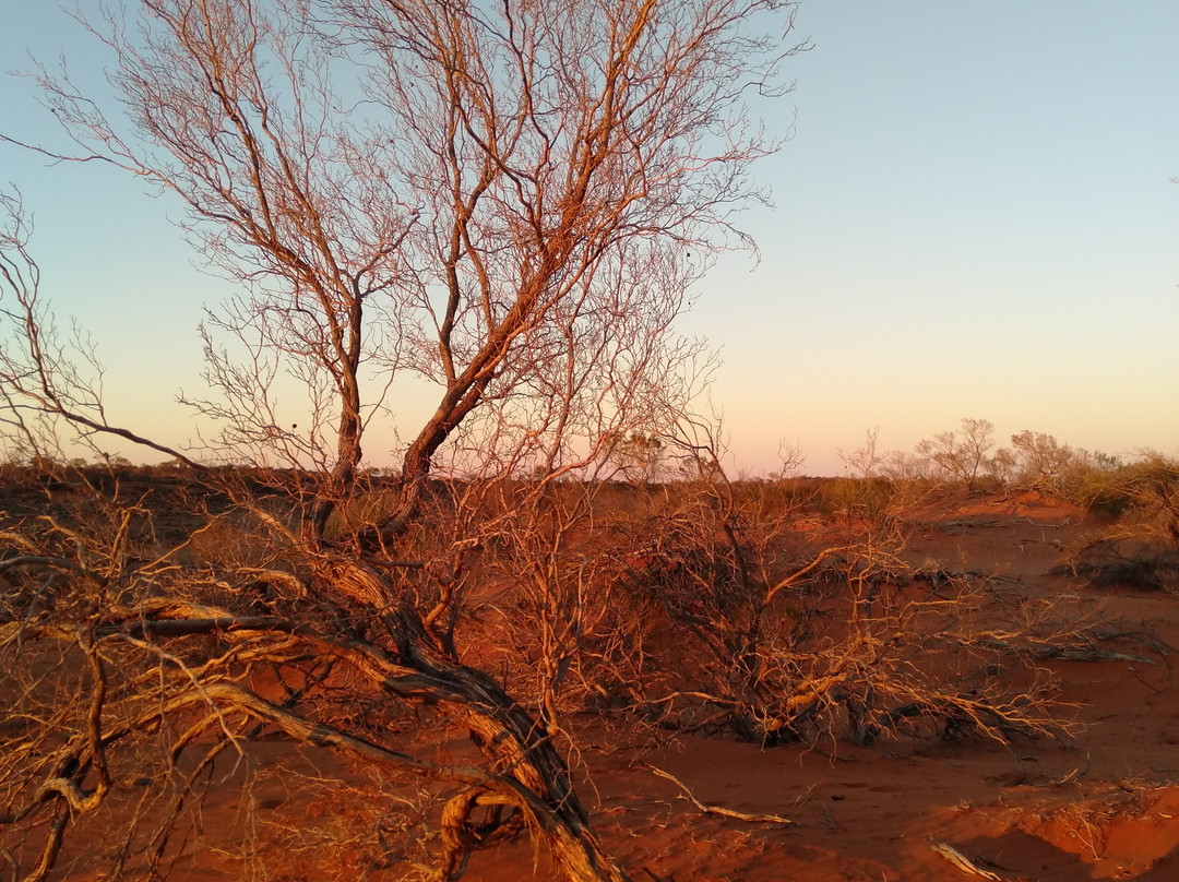Roxby Downs Visitor Information Centre景点图片