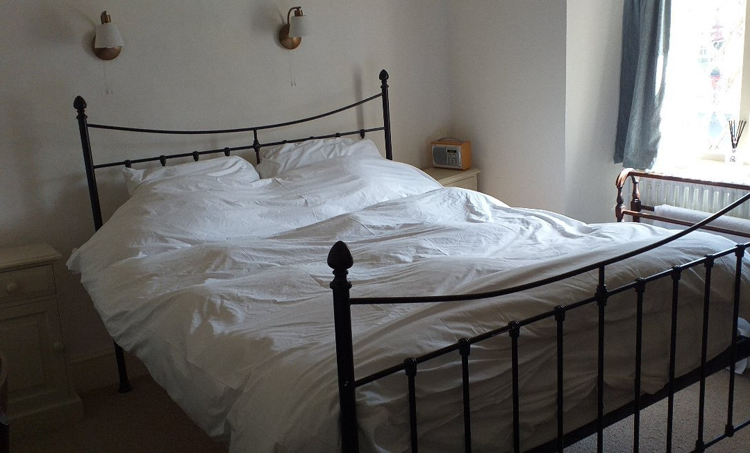 The Dolaucothi Arms Hotel主图