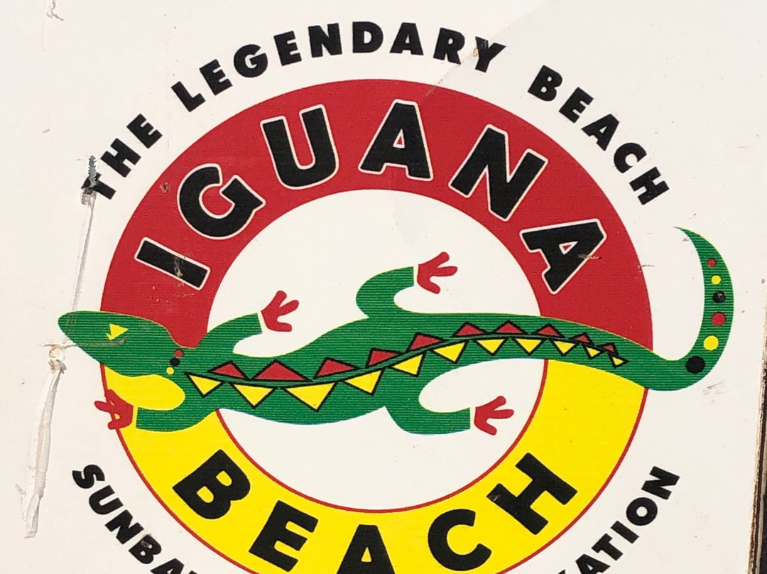 Iguana Beach景点图片