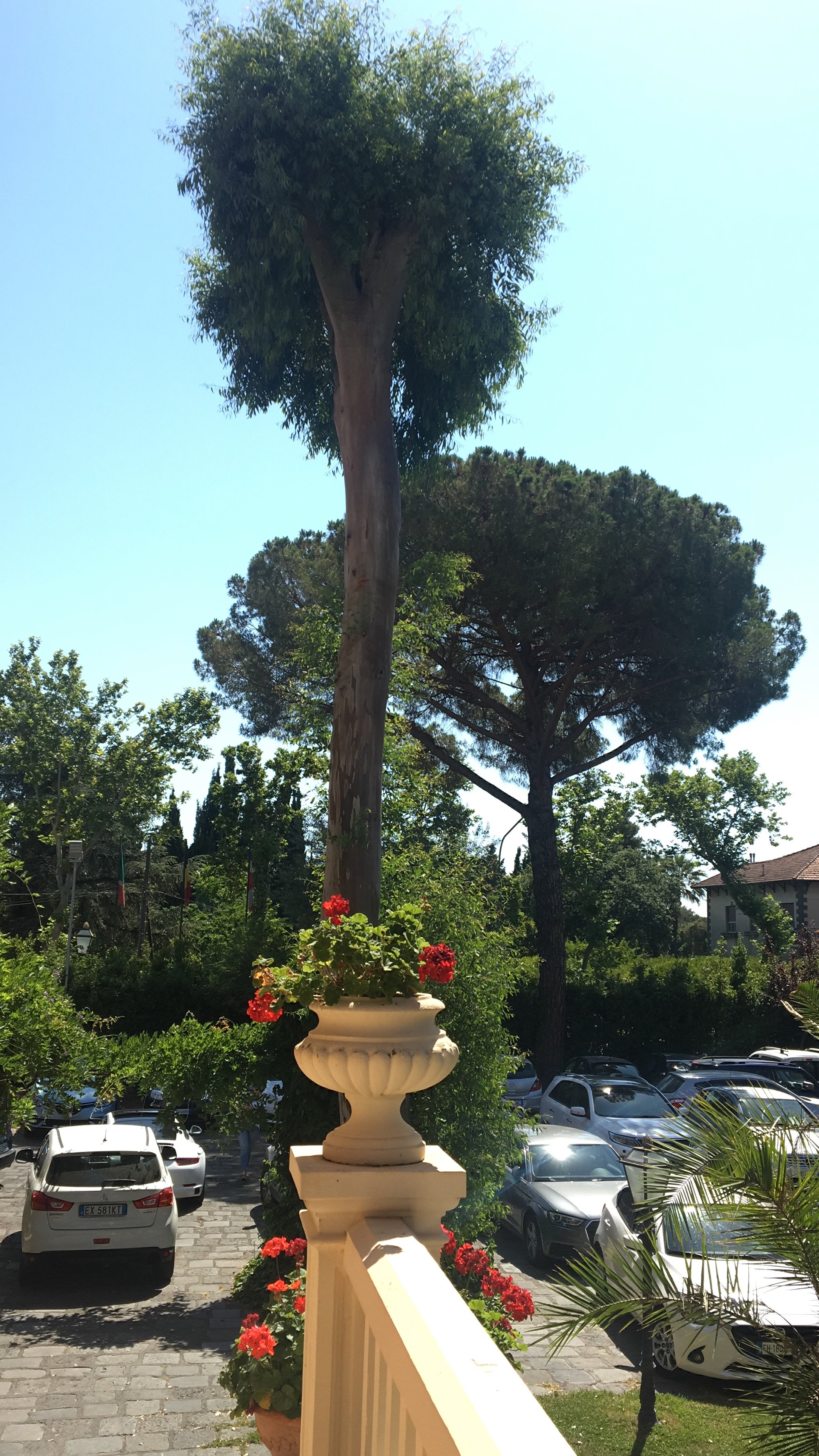 Villa Paradiso dell'Etna-酒店景观