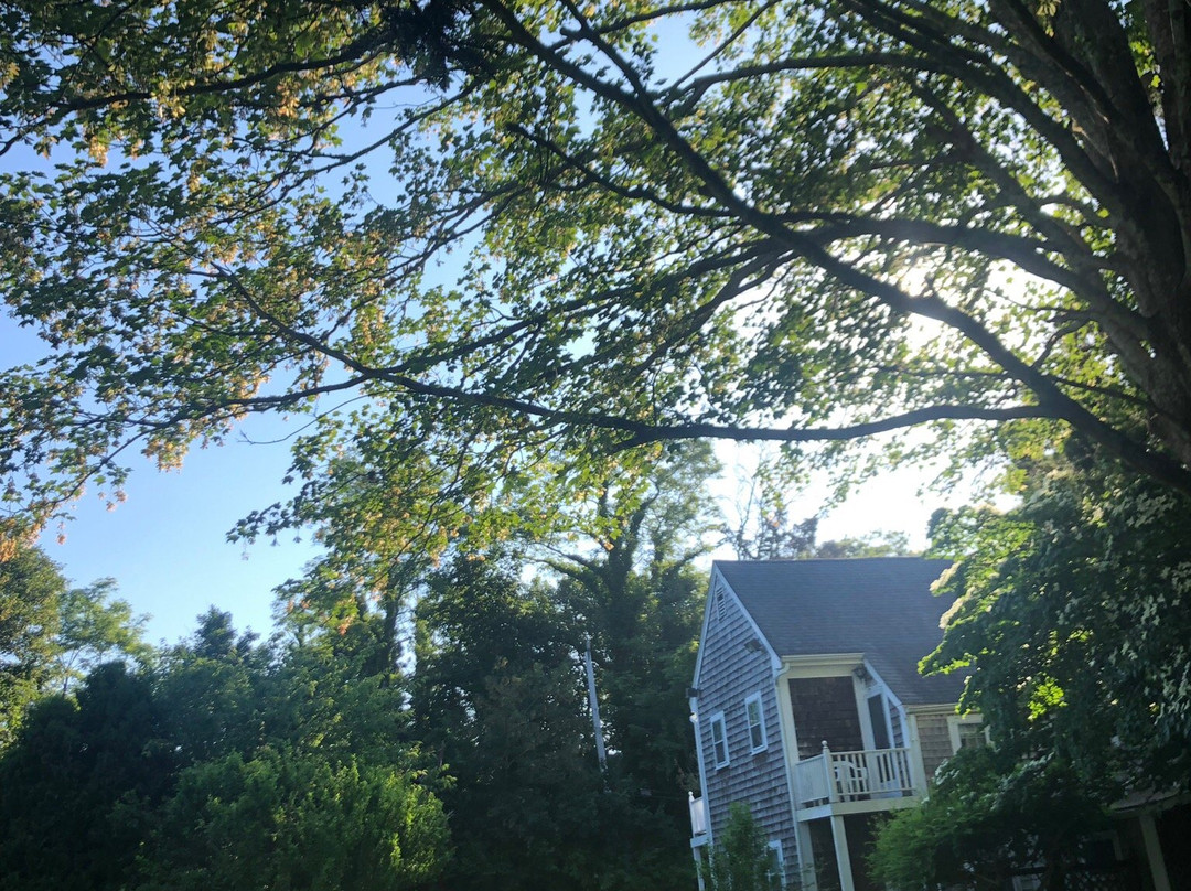 Isaiah Hall Bed and Breakfast Inn主图