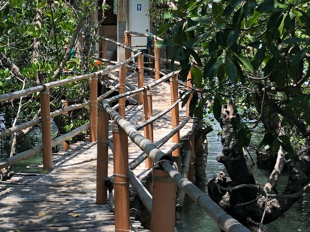 Suyac Island Mangrove Eco-Park景点图片