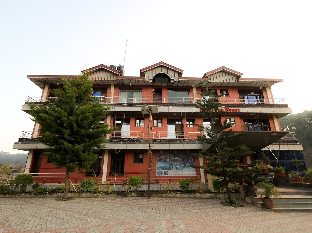 OYO 8367 Hotel The Woodz主图