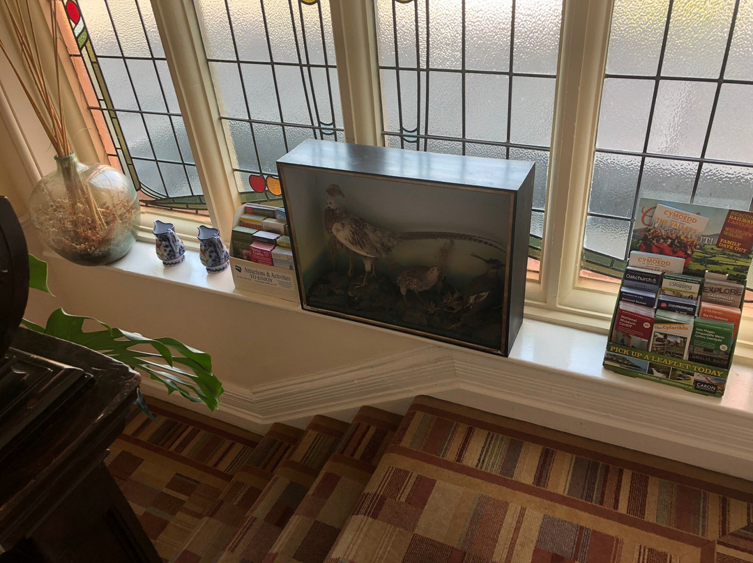 The Waterloo Hotel & Bistro主图