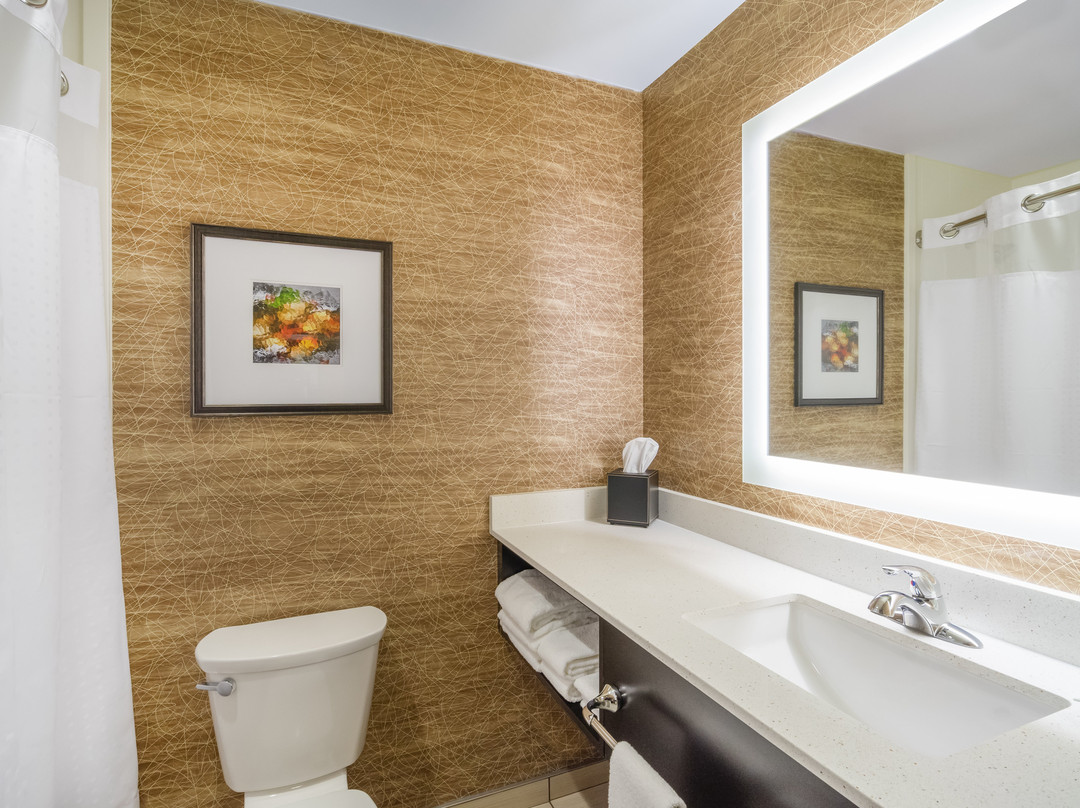 Holiday Inn Terre Haute by IHG主图