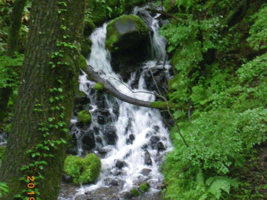 Ryugaeshi no Taki Waterfall景点图片