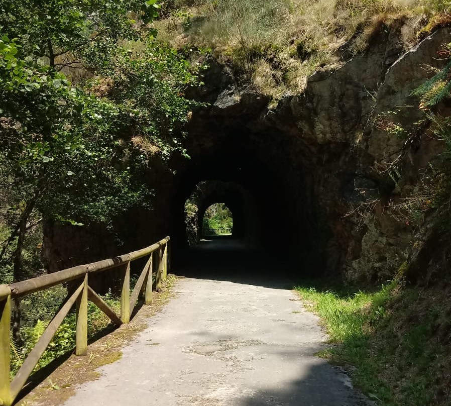 Bici Senda del oso景点图片