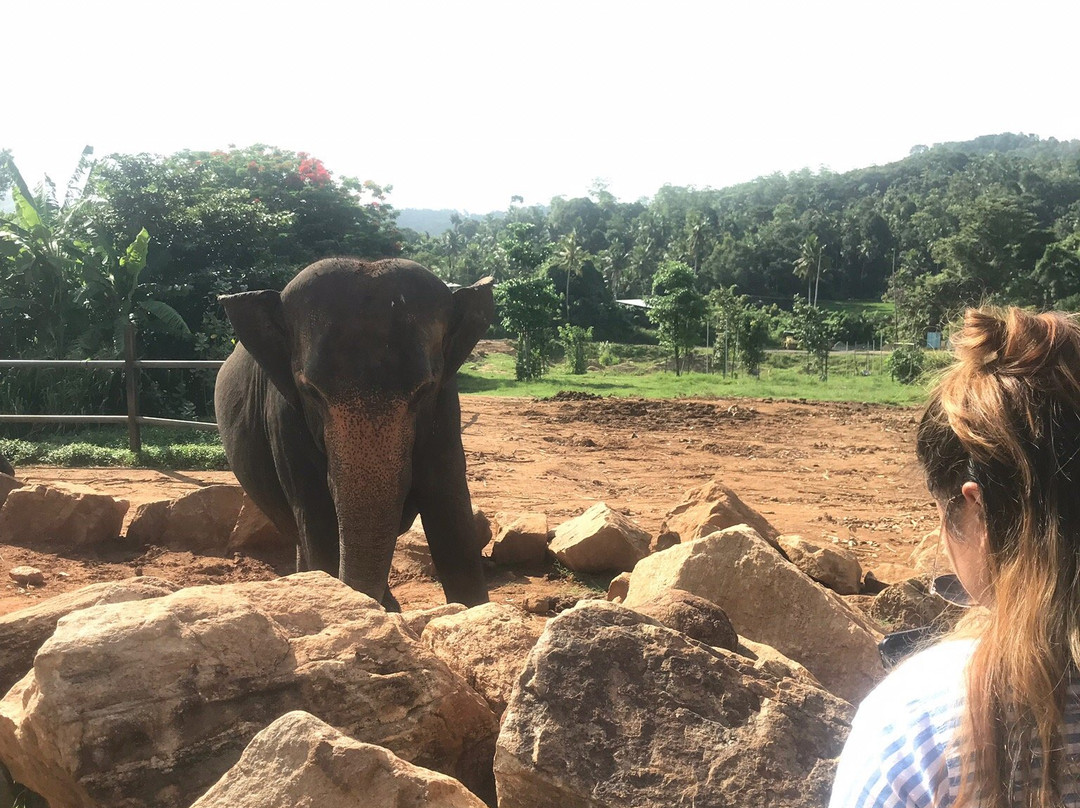 Sri Lanka Wings Tours-卡图纳耶克必去景点