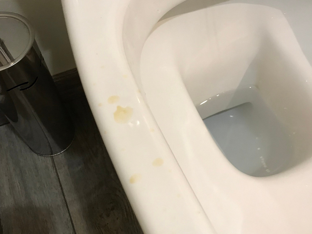 Phi Hotel Milano主图