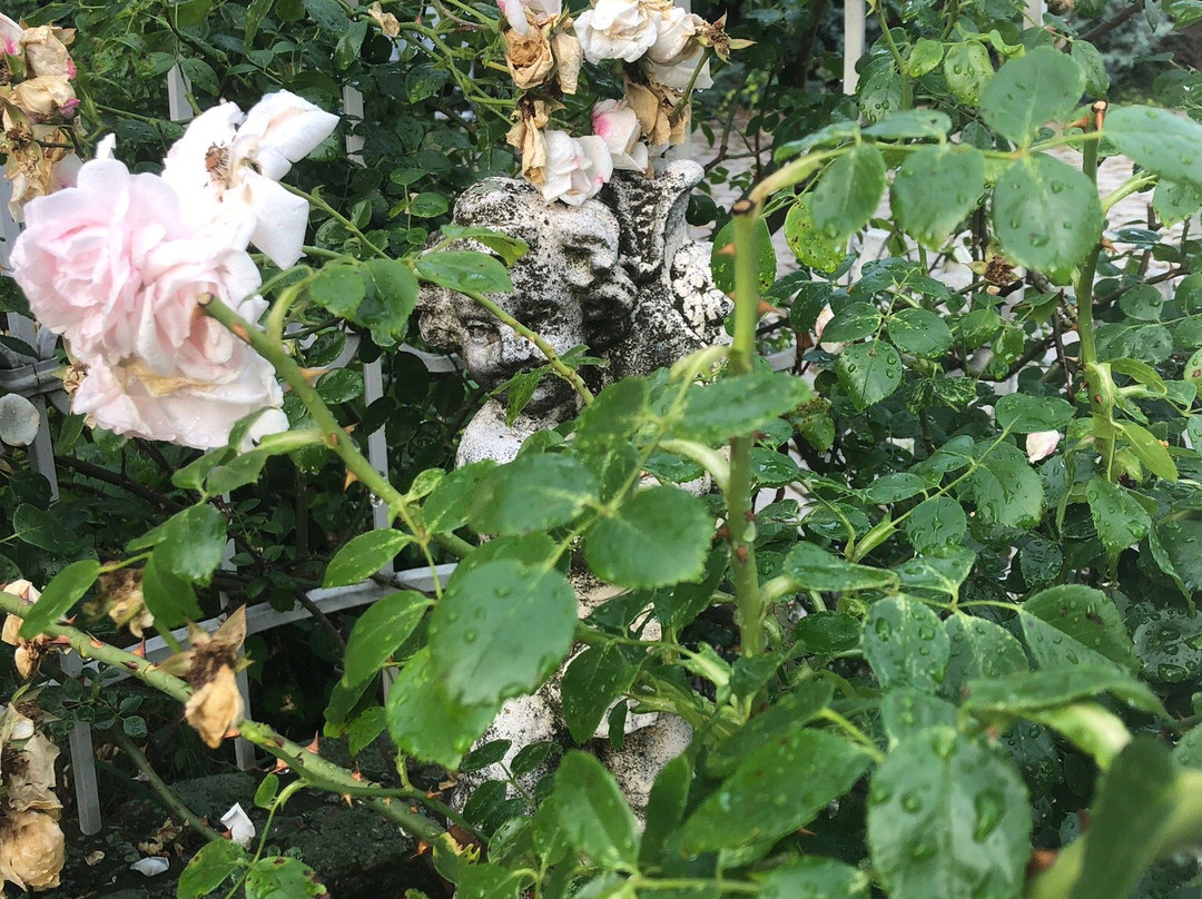 Penzion Millenium主图