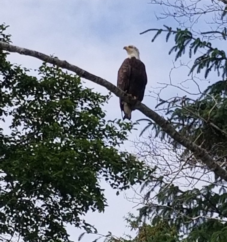 Balance Rock-Skidegate必去景点