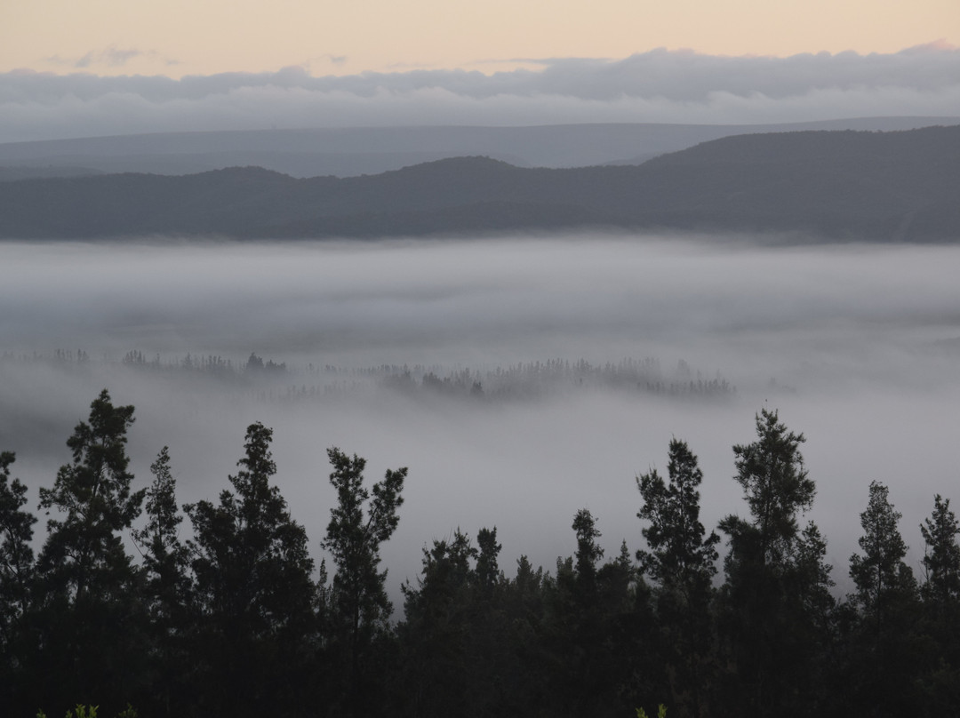 Addo Dung Beetle Guest Farm主图