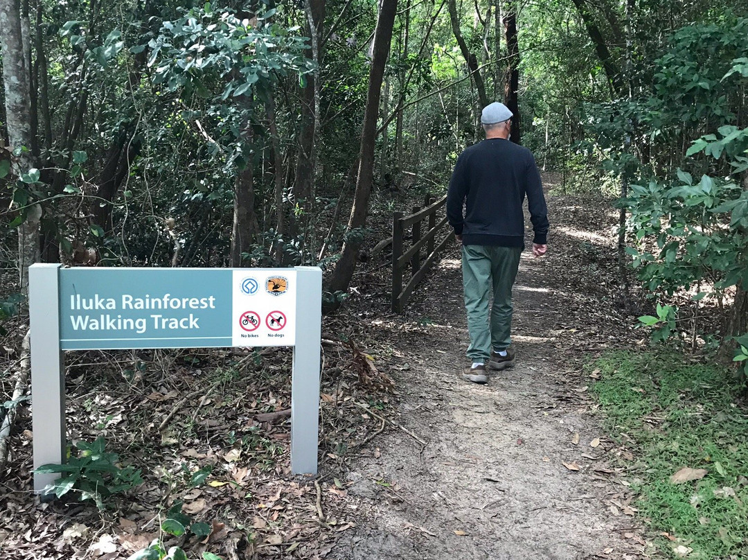 Iluka Rainforest Walking Track景点图片