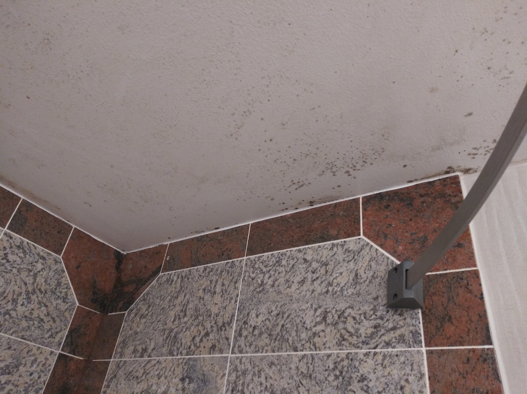 Days Inn by Wyndham Lanham Washington D.C主图