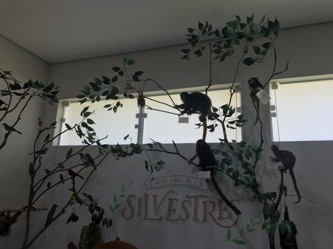 Museu Histórico de Itapira-Itapira必去景点