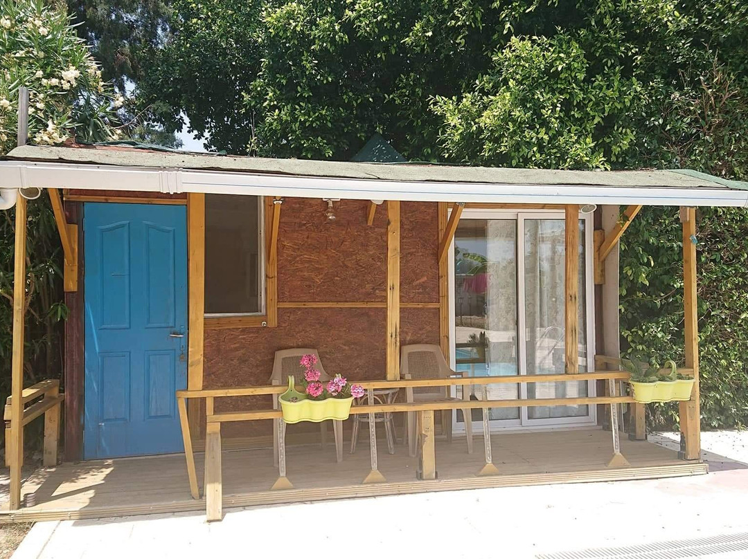 Green Bungalow主图