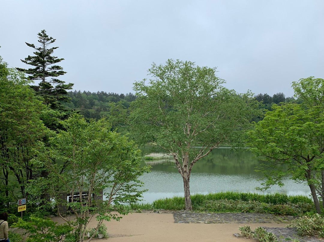 Kita no Sakuramori Park-稚内市必去景点