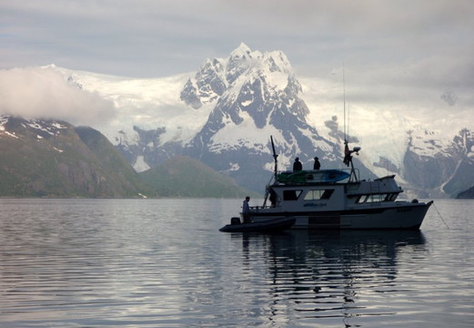 Alaska Fjord Charters-苏厄德必去景点