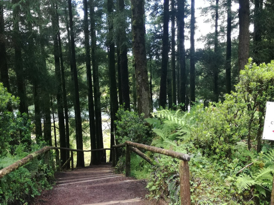 JM Azores Tours-蓬塔德尔加达必去景点