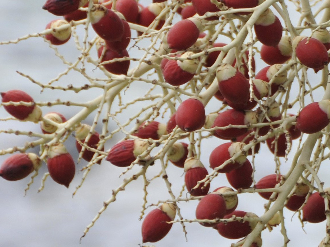 鹰角度假村主图