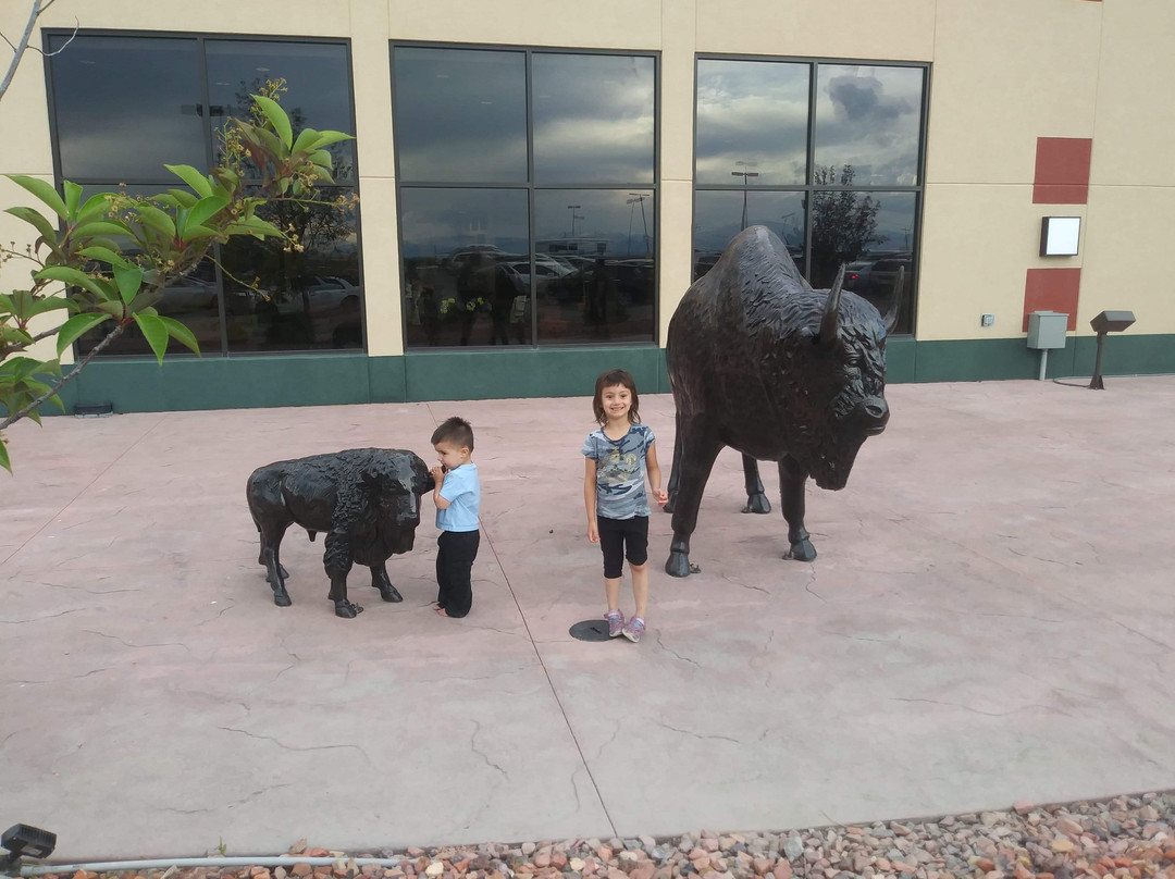 Wind River Hotel主图