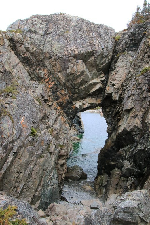 Lower Little Harbour Trail景点图片