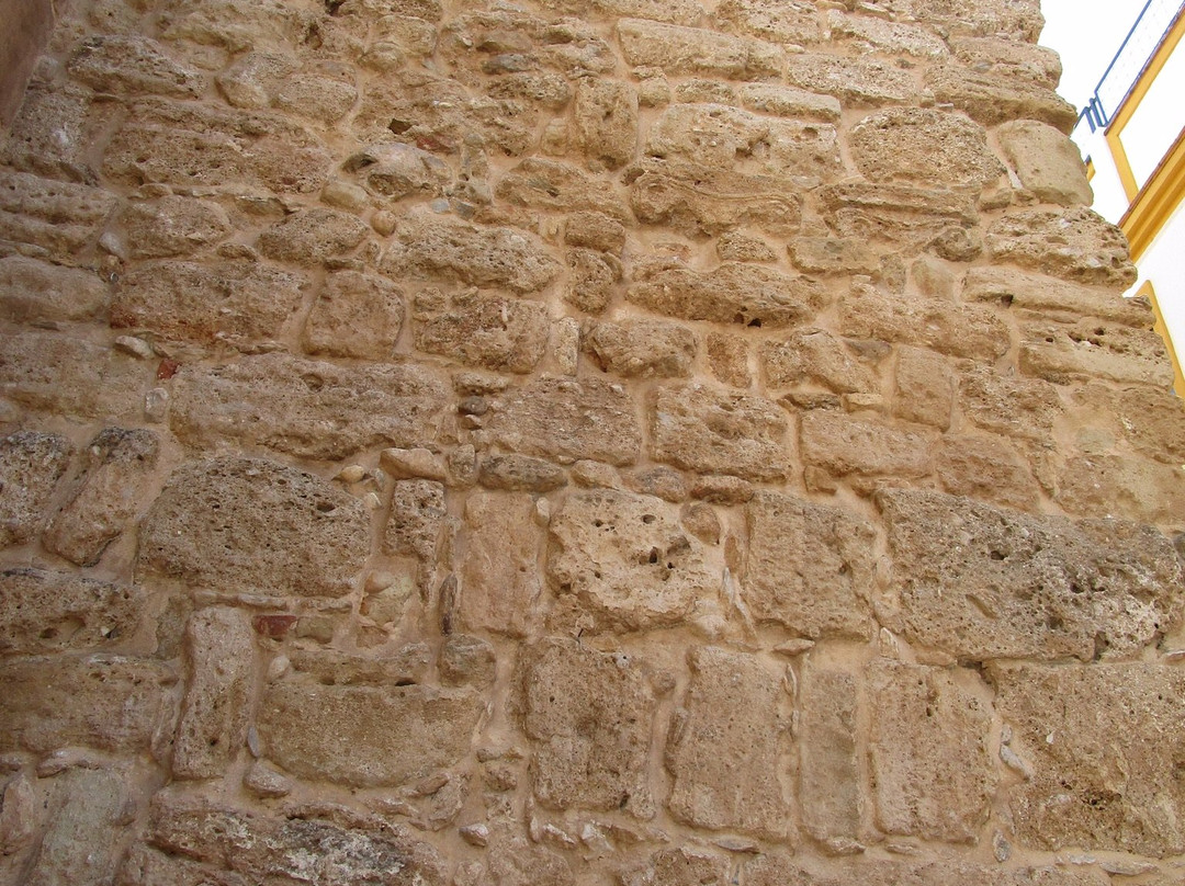 Murallas del Castillo (Las)景点图片