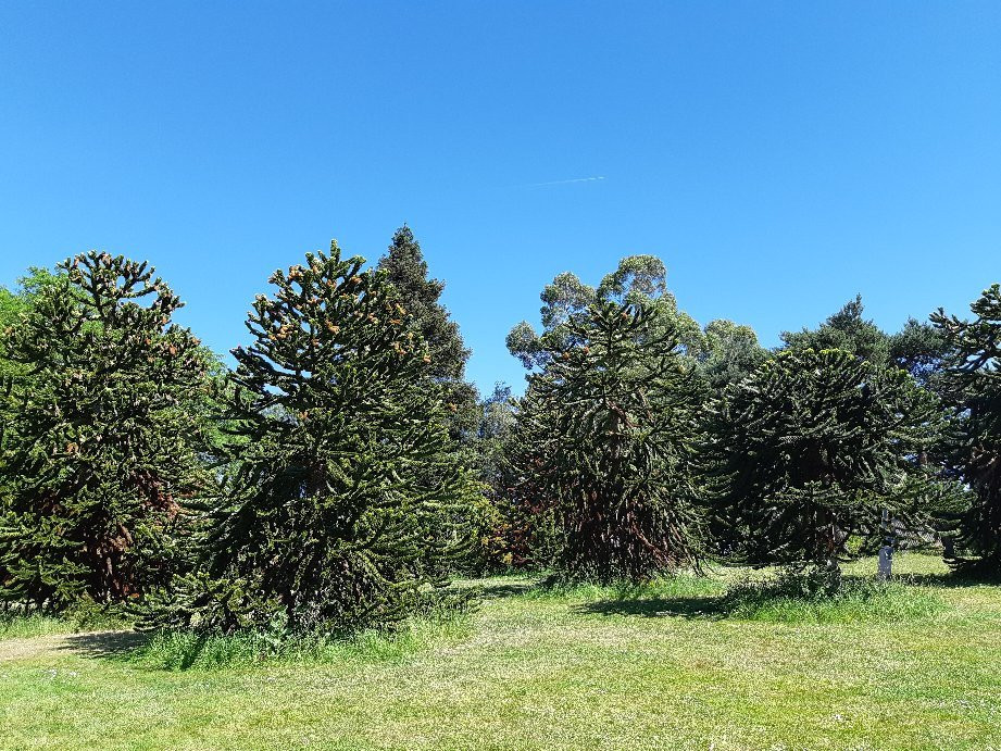 Parc du Grand Blottereau景点图片