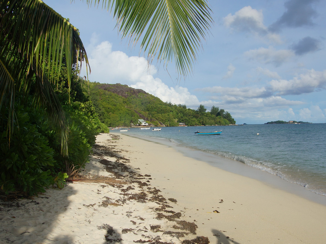 L'Habitation Cerf Island主图