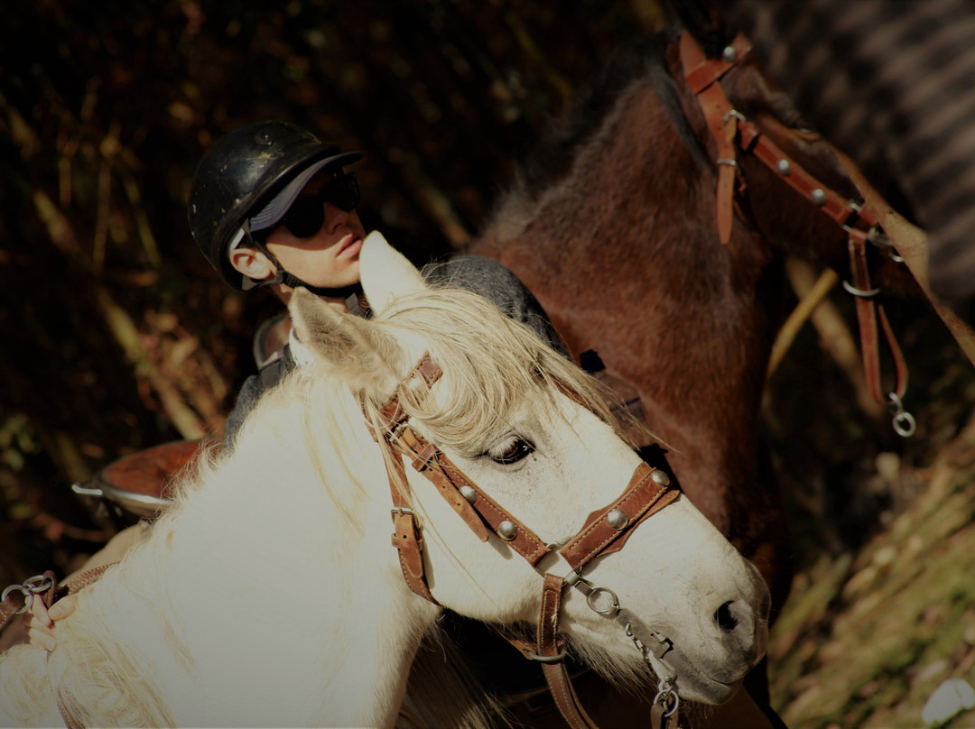 Horse riding in cusco Gabriel's Ranch景点图片