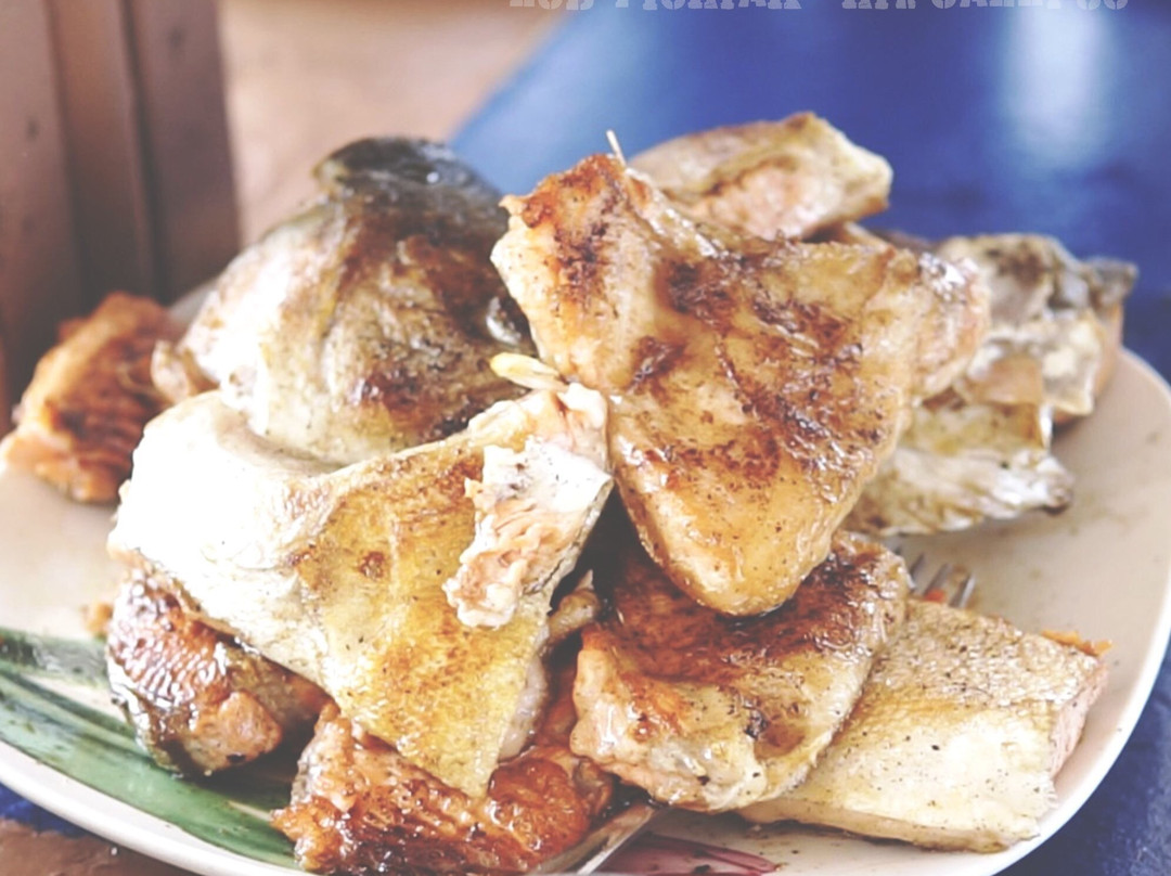 Ocean Sunshine Scuba-刁曼岛必去景点