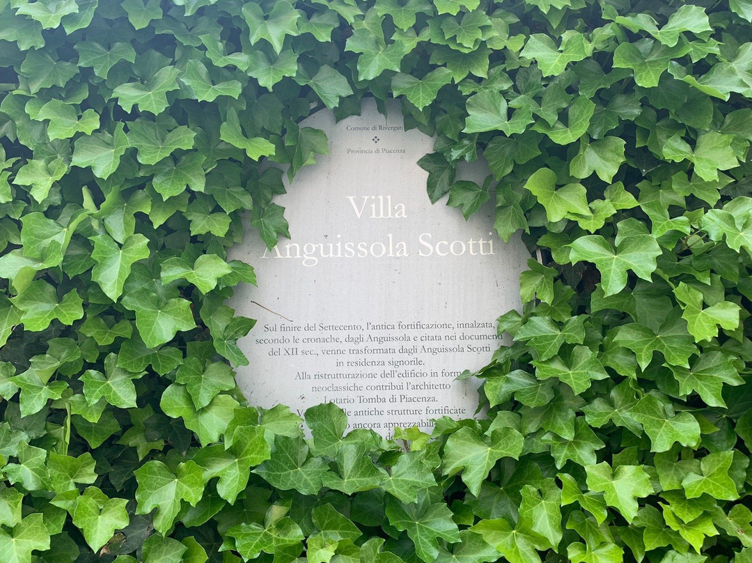 Villa Anguissola-Scotti景点图片